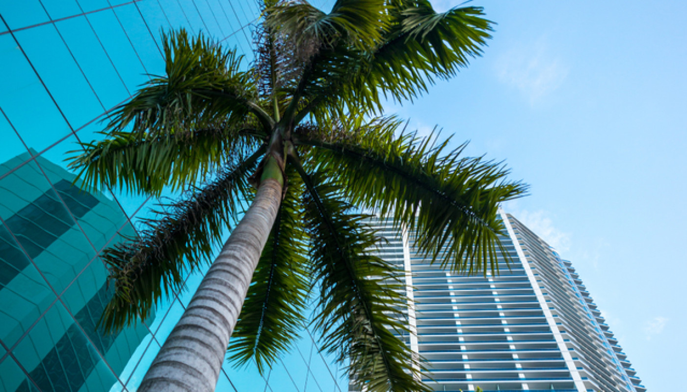 The best real estate agency of the Caribbean is in St Martin !